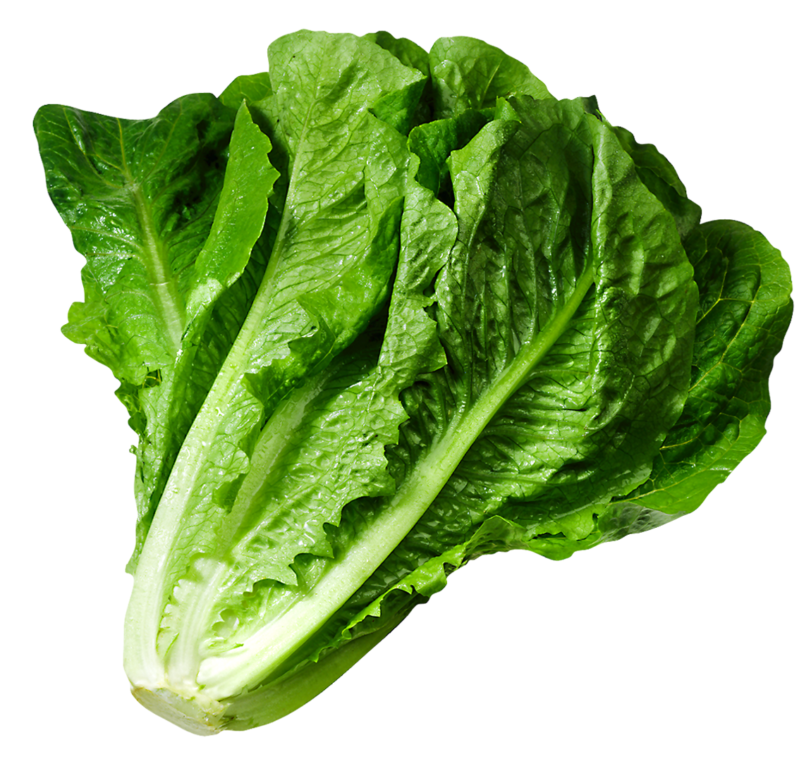Lettuce Right